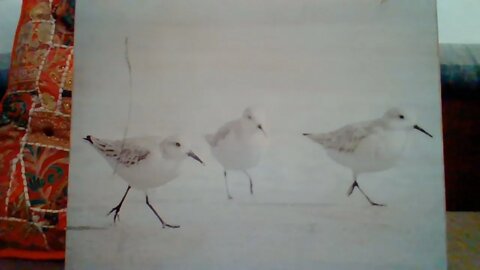 How to Turn Weakness into Strength!