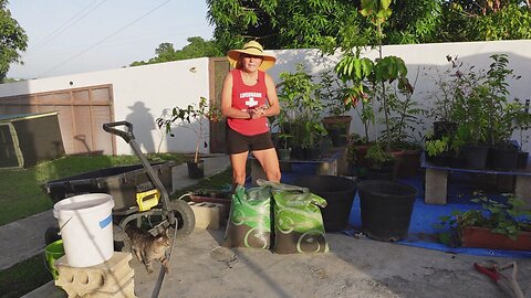 2024 10 23 Soil Detox Update: Running a new test and pre-orders ready
