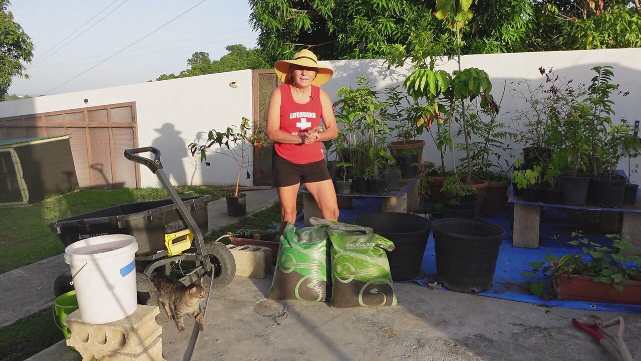 2024 10 23 Soil Detox Update: Running a new test and pre-orders ready