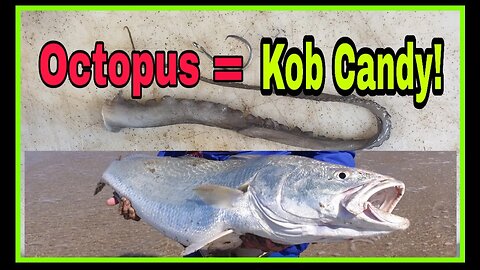 OCTOPUS BAIT presentation for KOB! Tackle Tuesday!