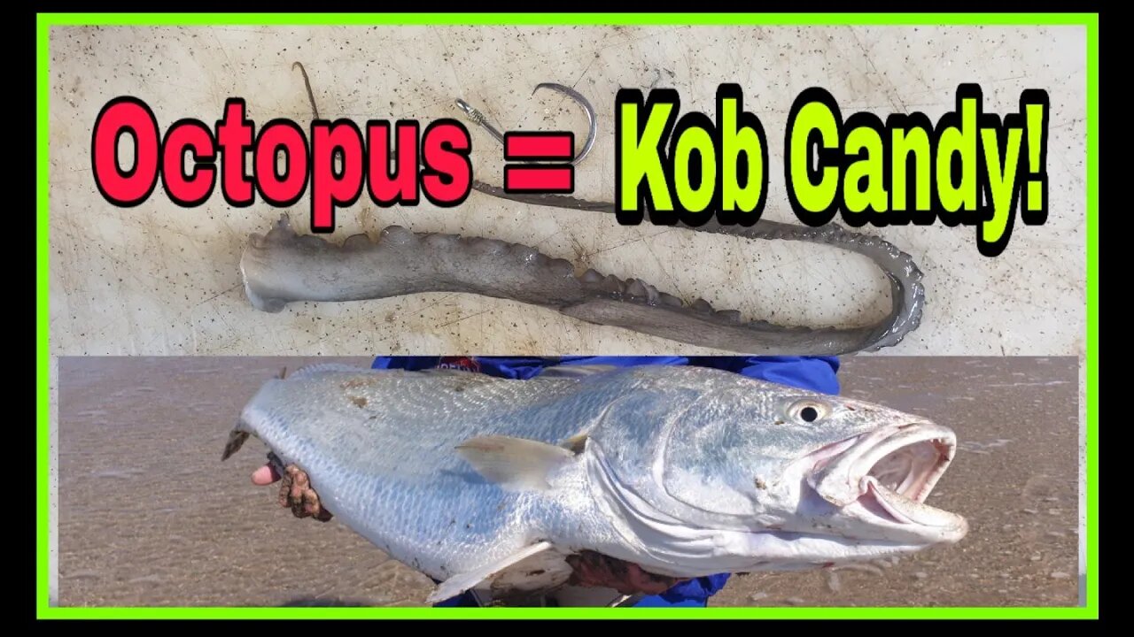 OCTOPUS BAIT presentation for KOB! Tackle Tuesday!