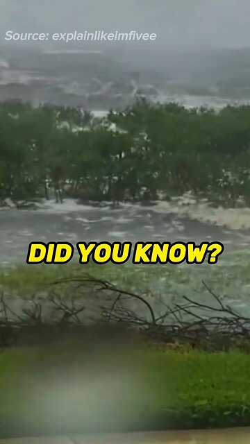 Propping up the coastline!