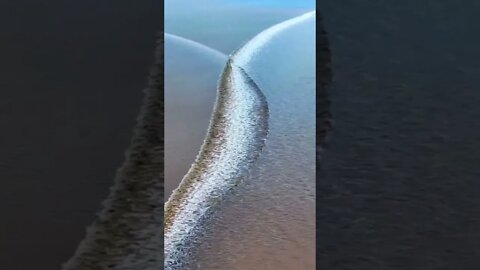 A beautiful encounter A meeting of two waves සුන්දර හමුවීමක් රළ දෙකක හමුවීමක් एक खूबसूरत मुलाकात