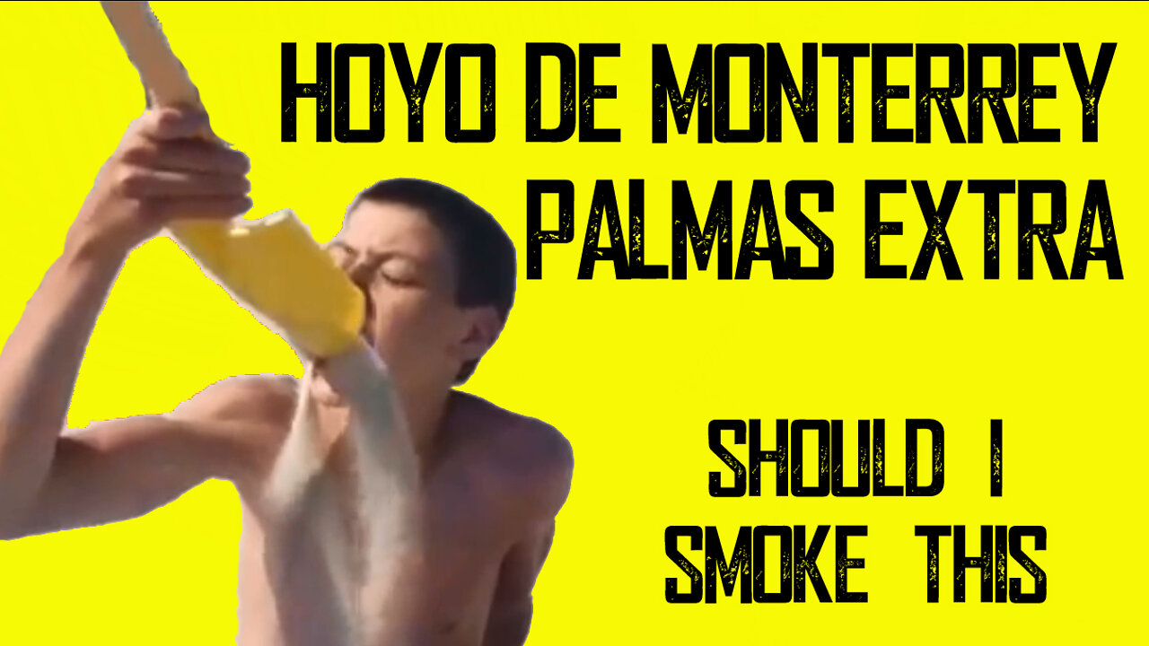 60 SECOND CIGAR REVIEW - Hoyo De Monterrey Palmas Extra (Cuban)