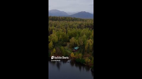 Alaskan Cabin in the woods! #Subscribe #Alaska #Shorts #Outdoors #Nature #Camping #Autumn #Fall #fyp