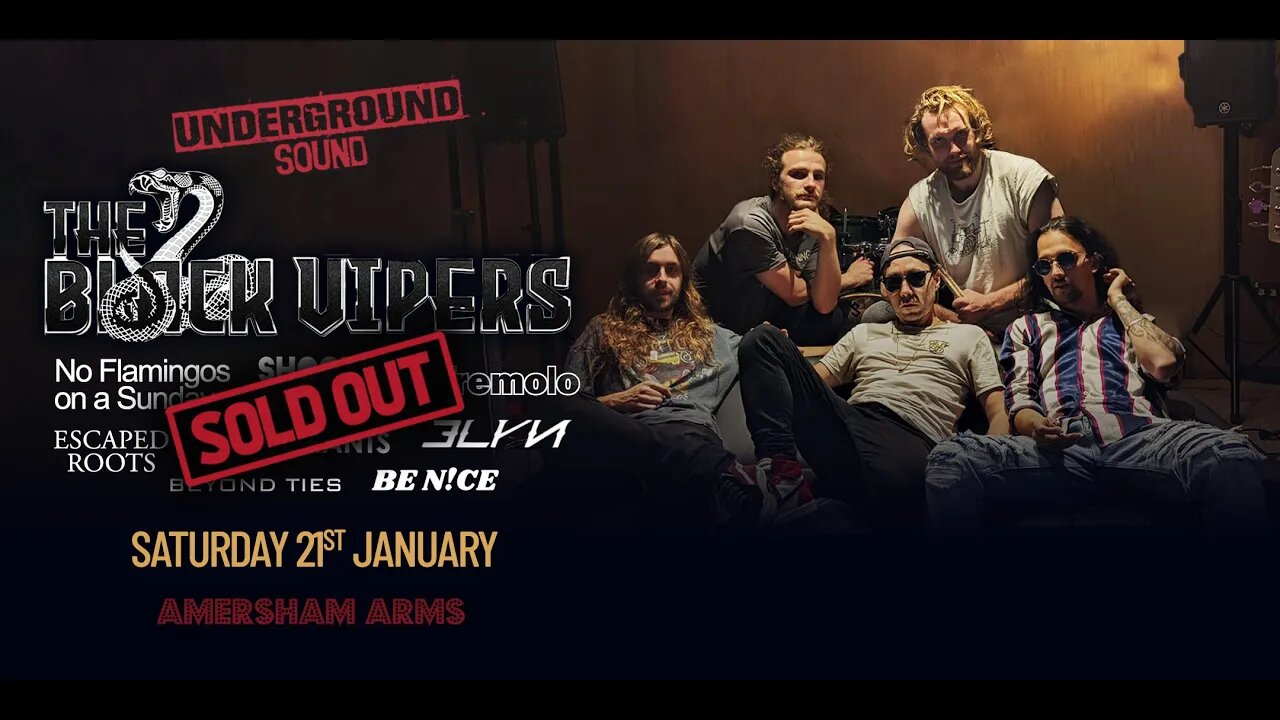 The Black Vipers Live At The Amersham Arms