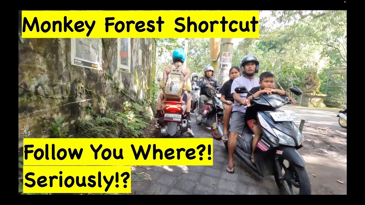 Ubud Monkey Forest shortcut! Motorbike ride through the monkey forest.