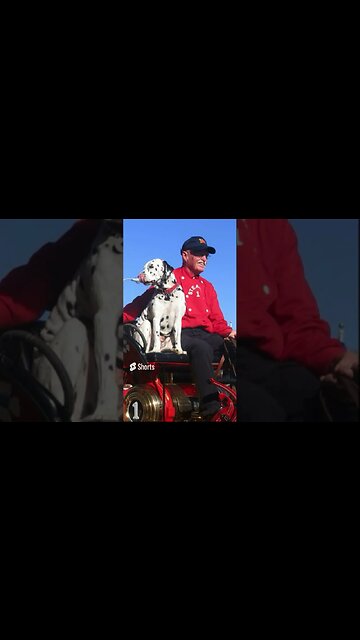 Dalmatians as Fire Dogs#shorts