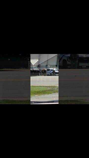 MN041FsyYjZTXhK9 - Earlier Today