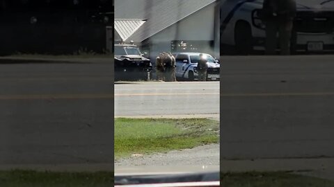 MN041FsyYjZTXhK9 - Earlier Today