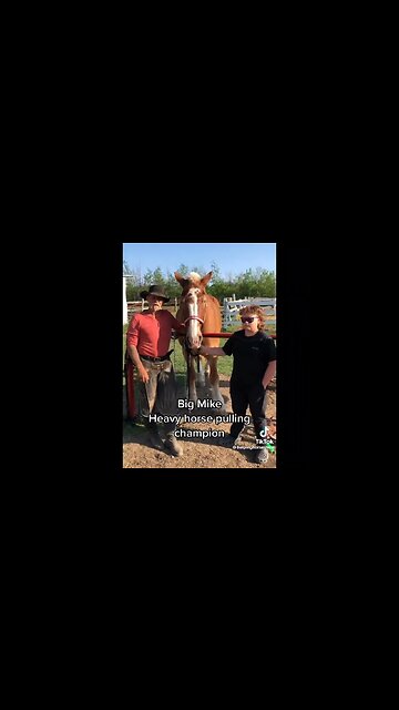 REAL CDN COWBOY- One In A Billion