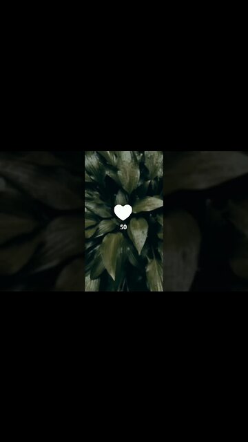 Editar Life 😟😥😢