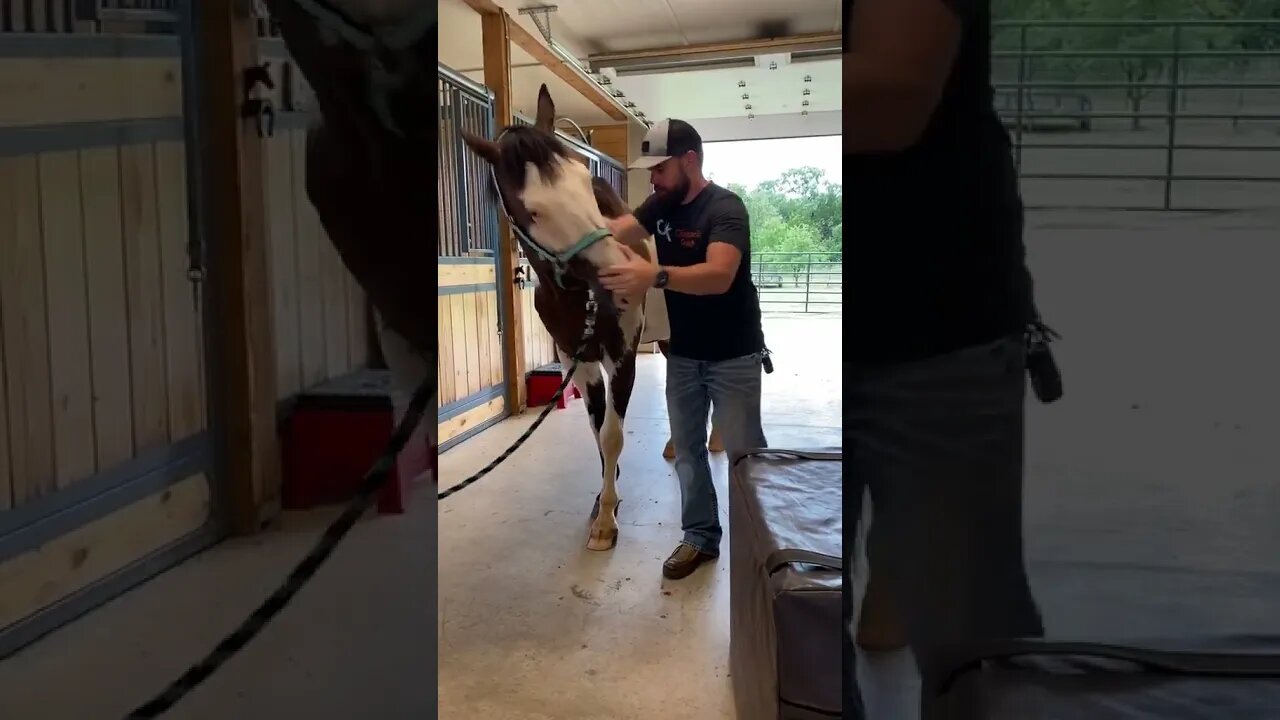 Lickin' & Chewin' = Positive Response
