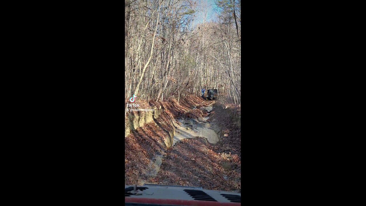 Trail riding