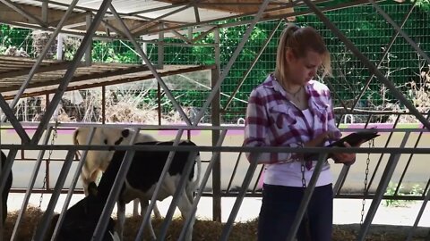 Farm girl is checking information in tablet