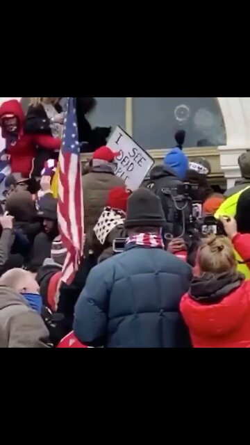 Trump supporters pulling dressed up antifa off the Capitol.