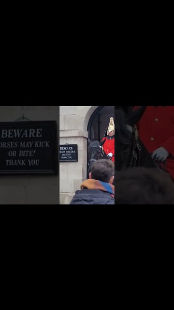 Guard shouts at tourist for pulling on the reins #horseguardsparade