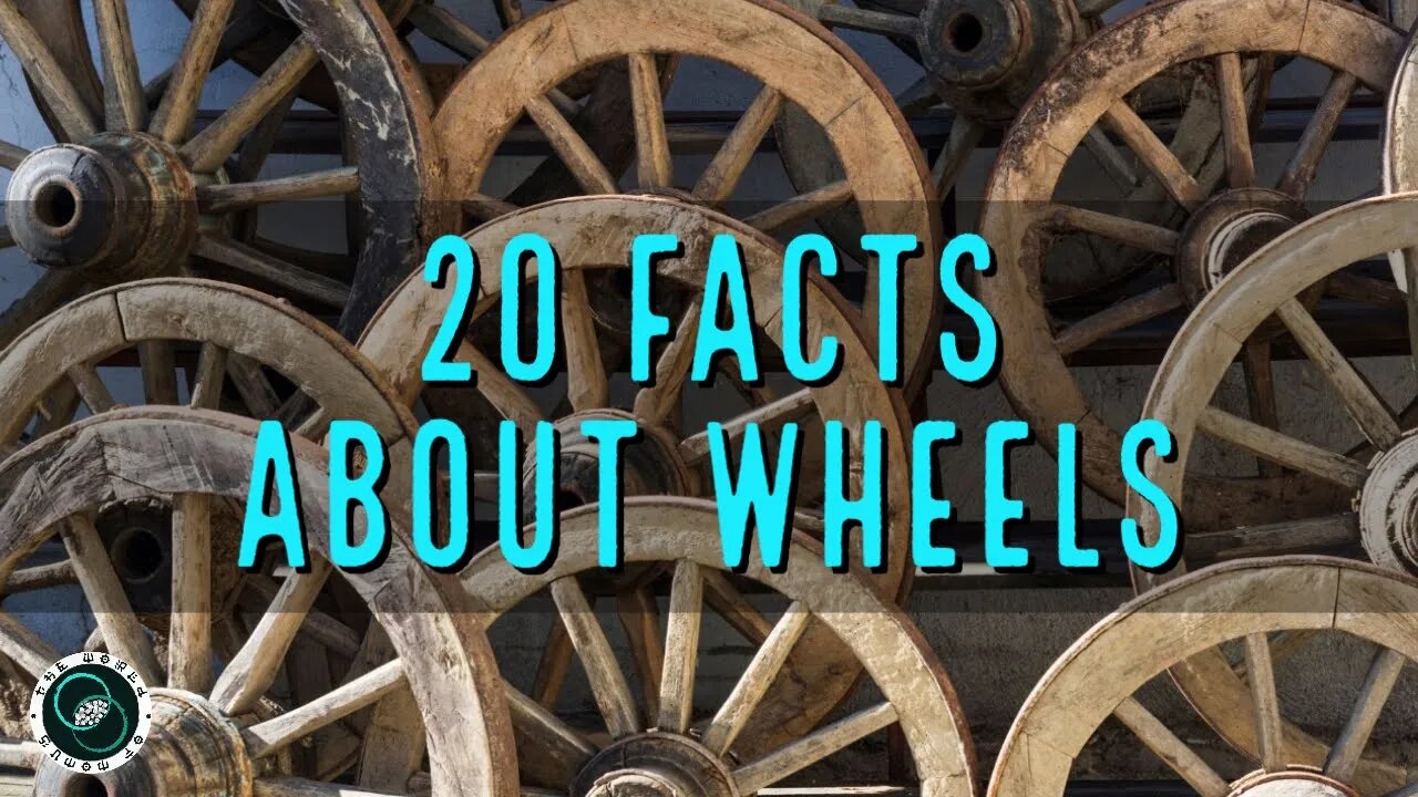 20 Facts about Wheels | Interesting Facts | The World of Momus Podcast