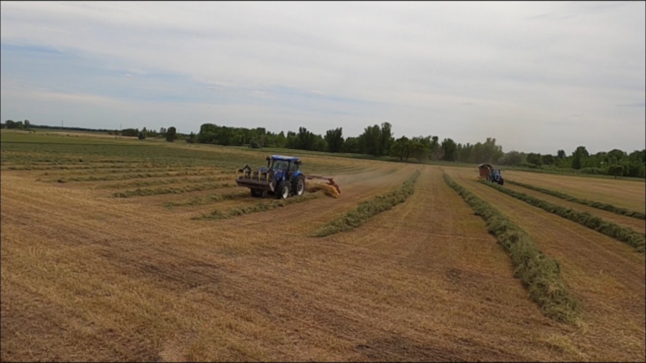 In Hurry To Get Done Chopping 1st Cut Alfalfa Hay!