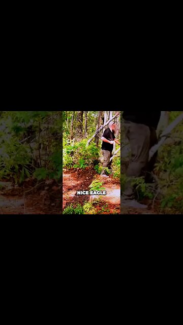 Epic Eagle Encounter: Marvel at Nature's Magnificence!