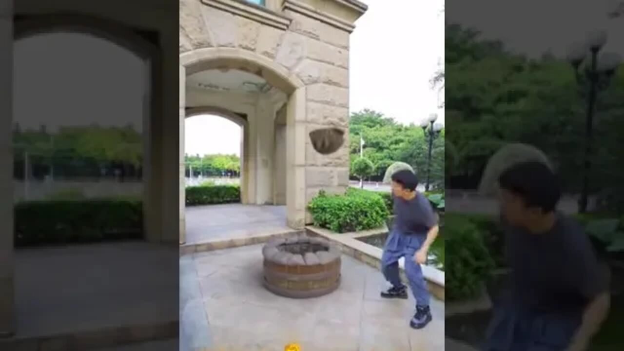 A tortoise in an Action