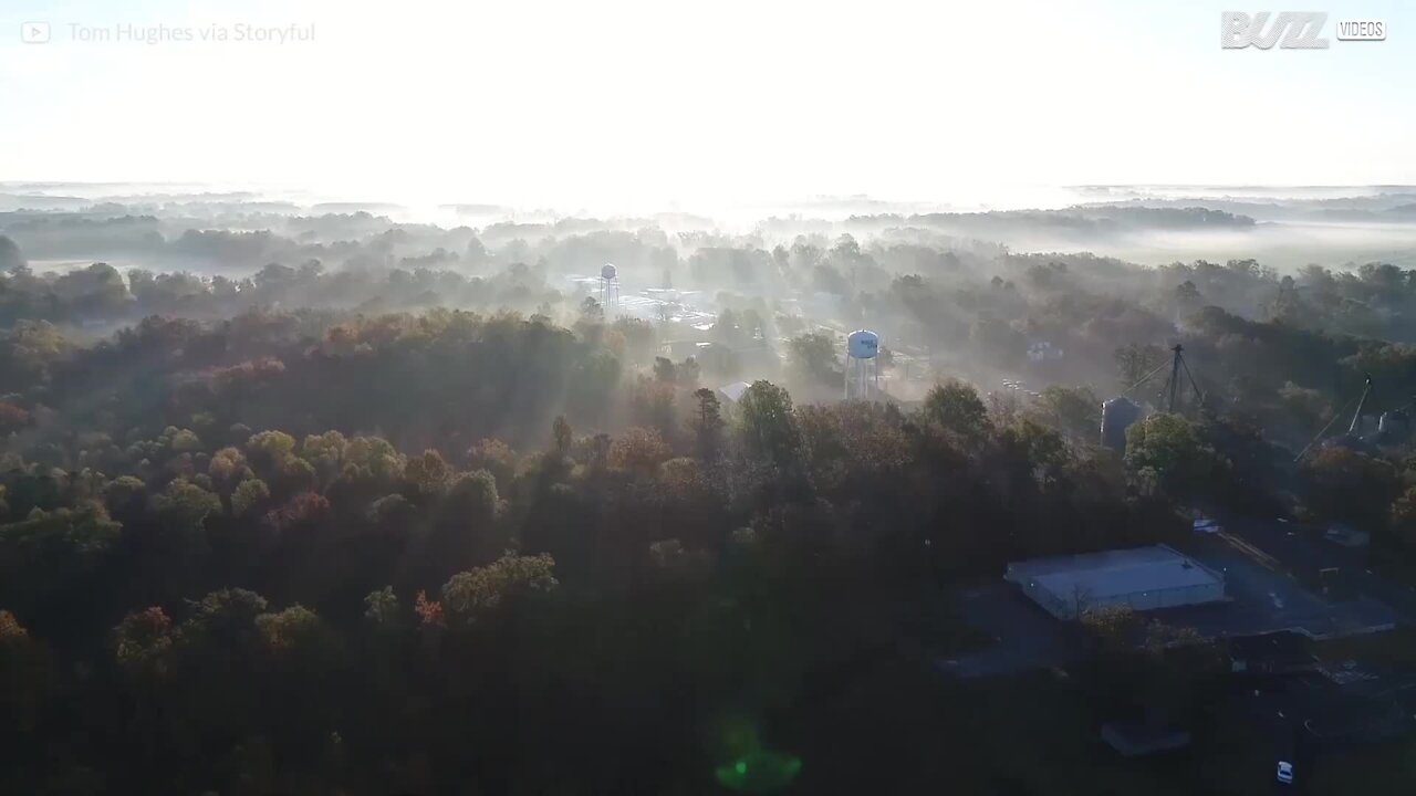 I colori dell'autunno tra la nebbia della Carolina del Sud