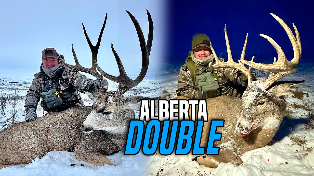 SPOT & STALK in BRUTAL CONDITIONS | ALBERTA