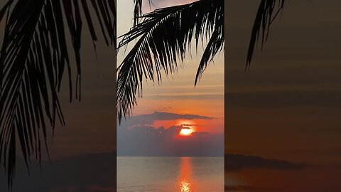 Escape to paradise with these soothing melodies #shorts #relaxing #meditation