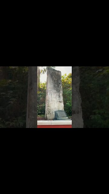 UNIVERSAL ORLANDO SECRET 🤫 #shorts