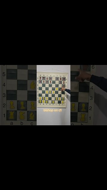 This Chess Game Is For Beginners To STOP Doing This!