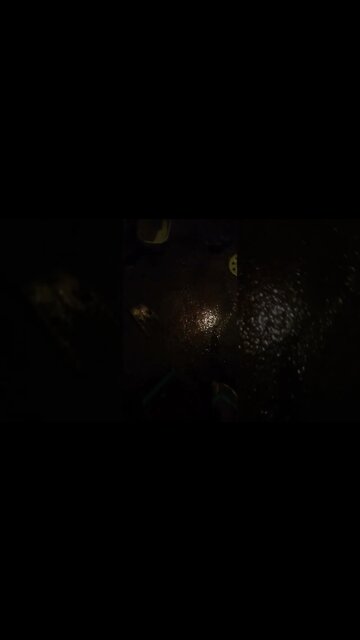 pegando rato na ratoeira #shorts