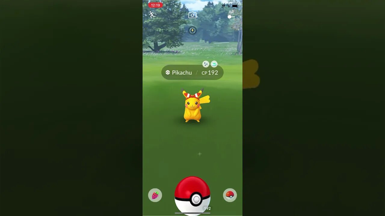 Shiny Compilation