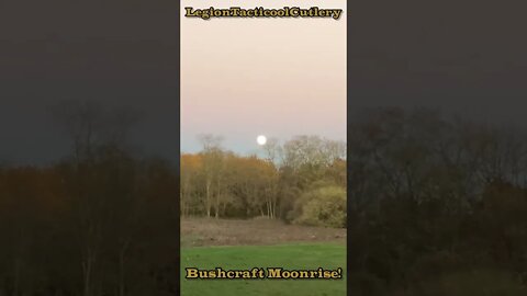 Moon Rise! Spectacular!