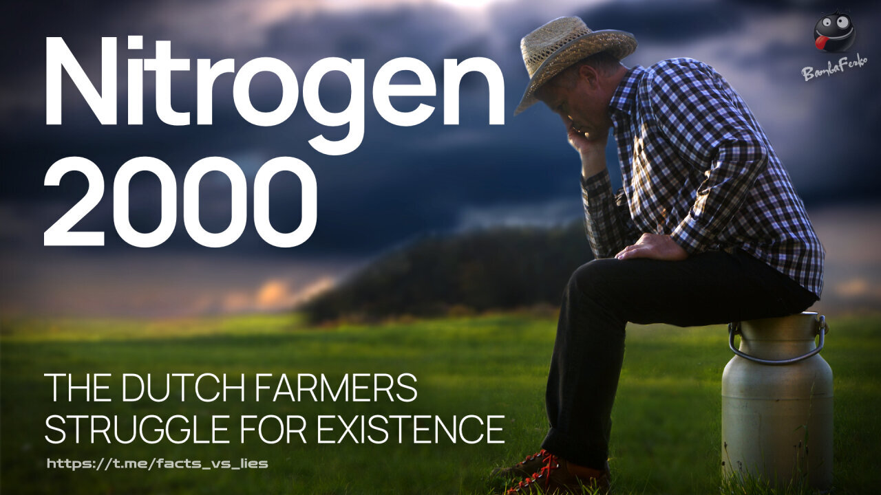 Nitrogen 2000 - English