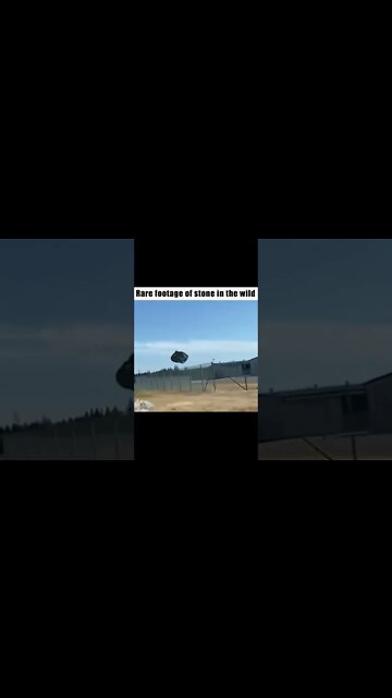 Did you see what happened to him?Look carefully ඔහුට වුන දේ දැක්කද क्या तुमने देखा कि उसके साथ क्या