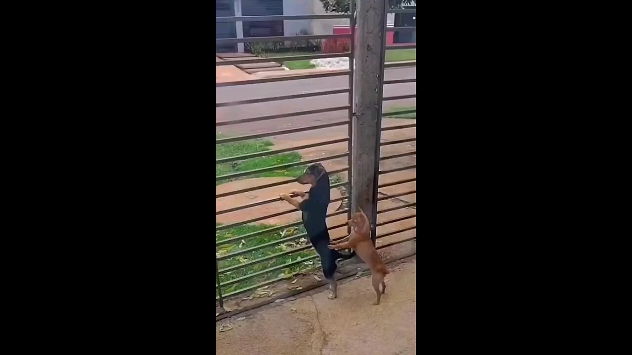 👍