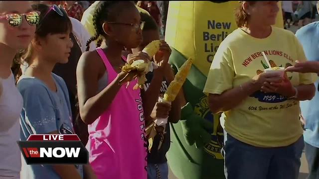 Geeking Out: Wisconsin State Fair
