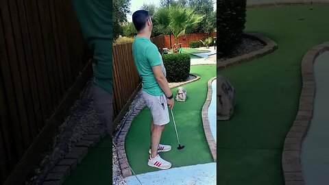 Mini Golf... What Could Possibly Happen? #shorts #HWR