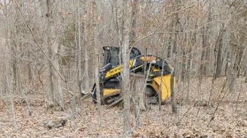 Clearing Land For Our New Home Place