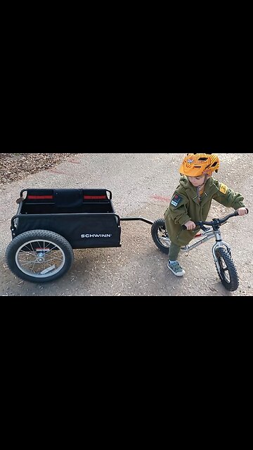 Schwinn Porter Bike Trailer - Minuteman Review #shorts