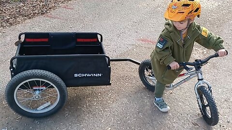 Schwinn Porter Bike Trailer - Minuteman Review #shorts