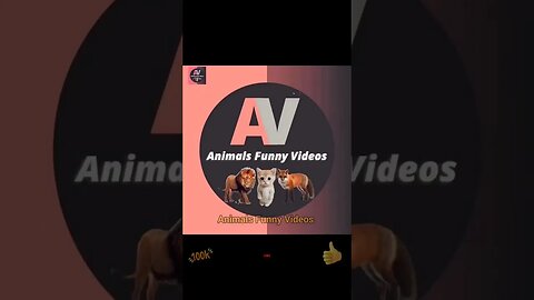 Cute Cat playing Toy Funny Cat Toy Reaction Compilation Animals Funny Videos #animals #shorts