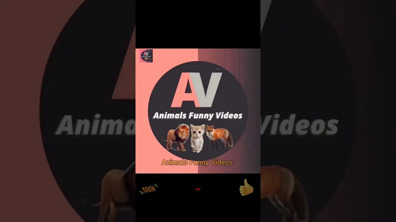 Cute Cat playing Toy Funny Cat Toy Reaction Compilation Animals Funny Videos #animals #shorts
