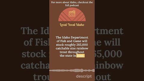 Rainbow Trout Stocking