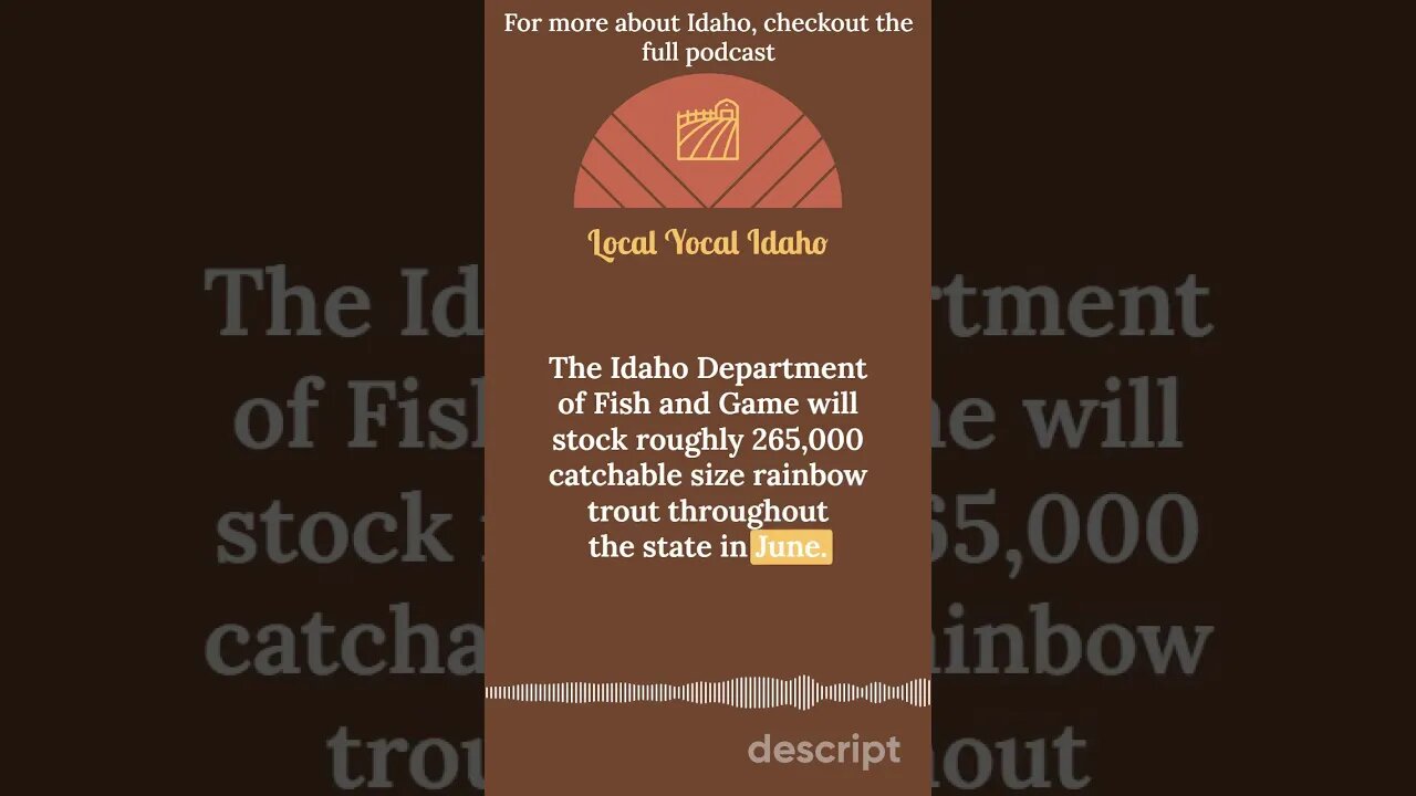 Rainbow Trout Stocking