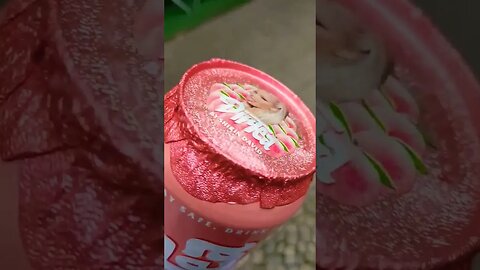 My new Favorite beverage 🍑 #food #drink #globalfoodquest