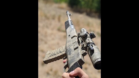 Let freedom Ring 2020/ Ruger Mini 14 style