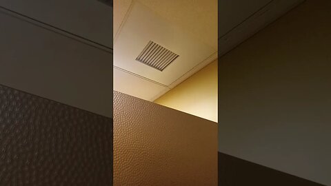 Public ASMR | Puscifer Concert Bathroom Stall