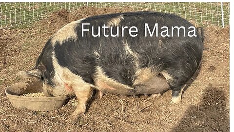 Monday Update March 6, 2023