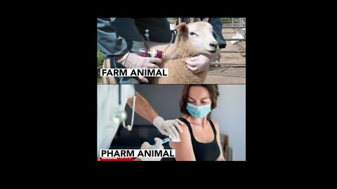 THE VACCINE FRAUD TO ENSLAVE HUMANITY in 400 videos / 400 seconds
